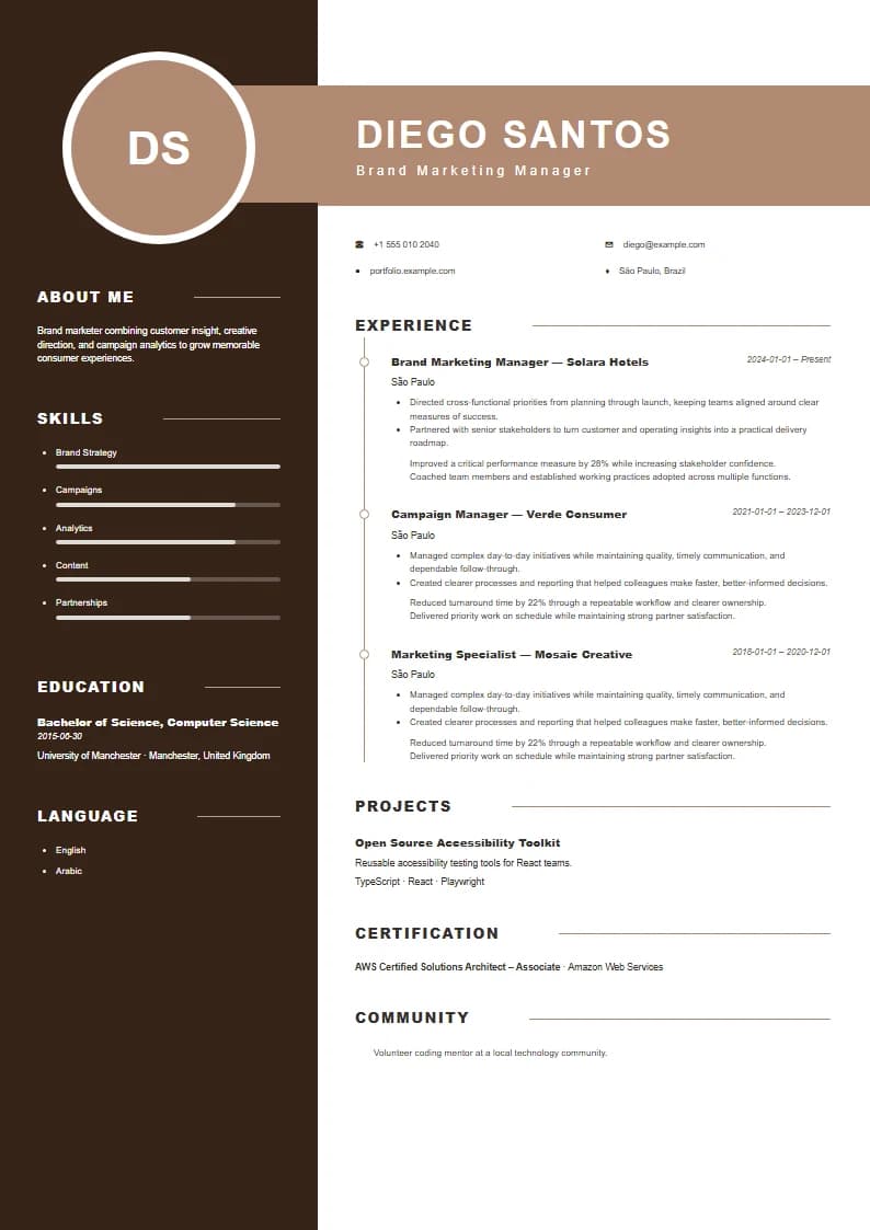 Bronze Timeline resume template preview