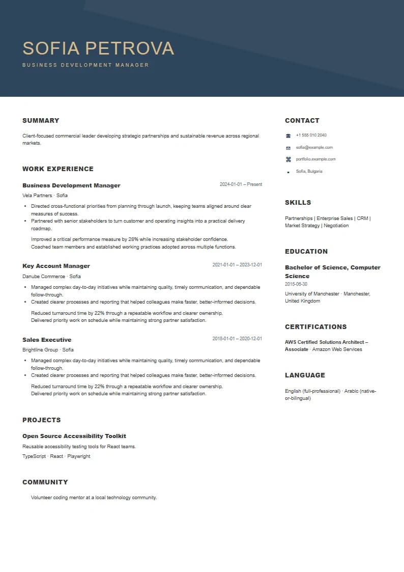 Slate Professional resume template preview